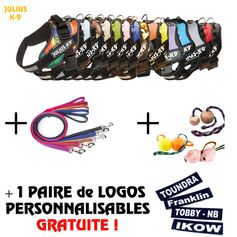 Coffret IDC®Power Julius-K9® + paire de logos au nom du chien OFFERTE !