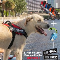Coffret Julius-K9 IDC®Powair + logos au nom du chien OFFERTE !