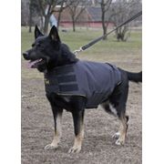 Protection Julius-K9® pour chien contre lames, coups et projectiles