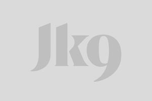 Revendeurs Julius-K9