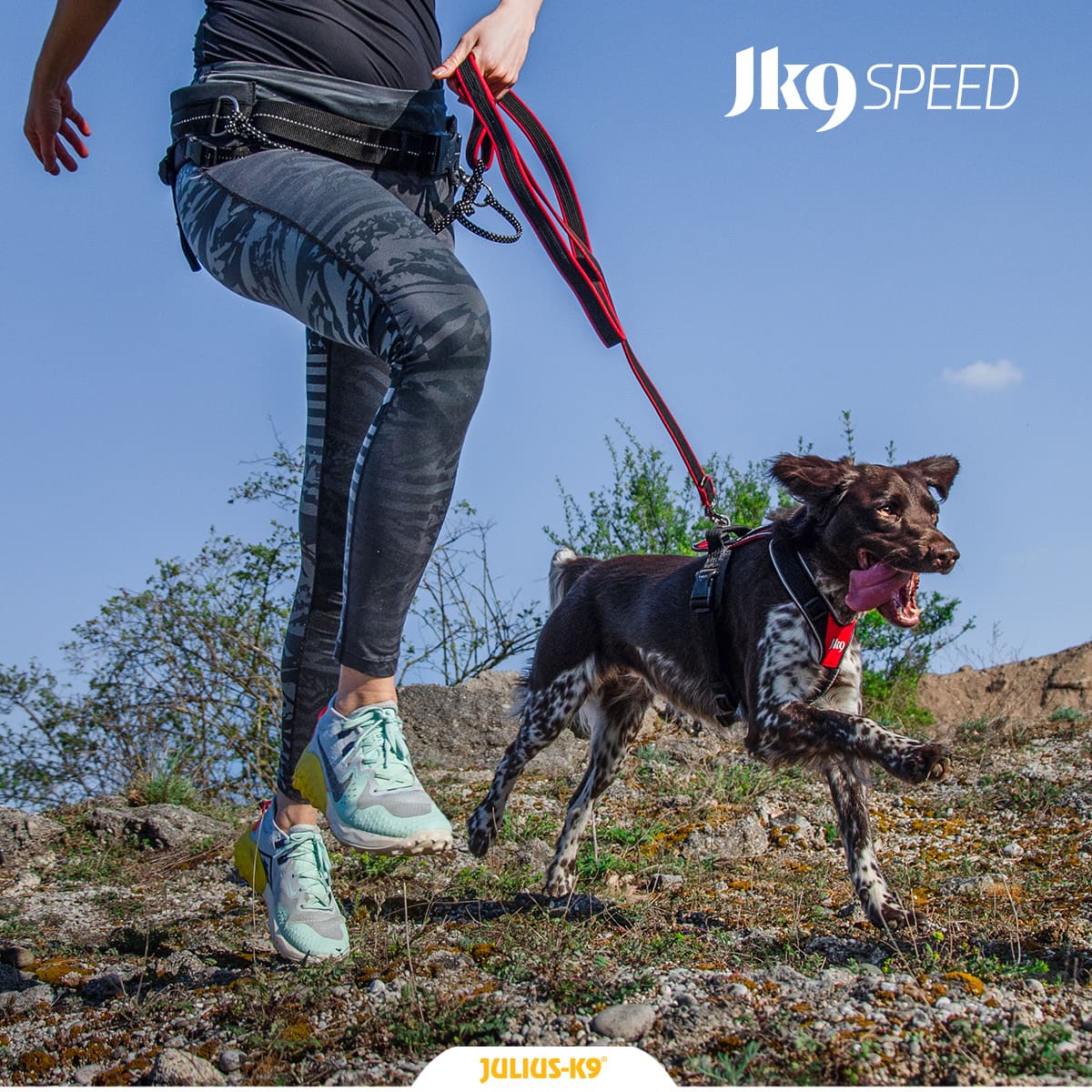 Set Jogging Julius-K9® Speed harnais, ceinture et laisse extensible -  Julius-K9