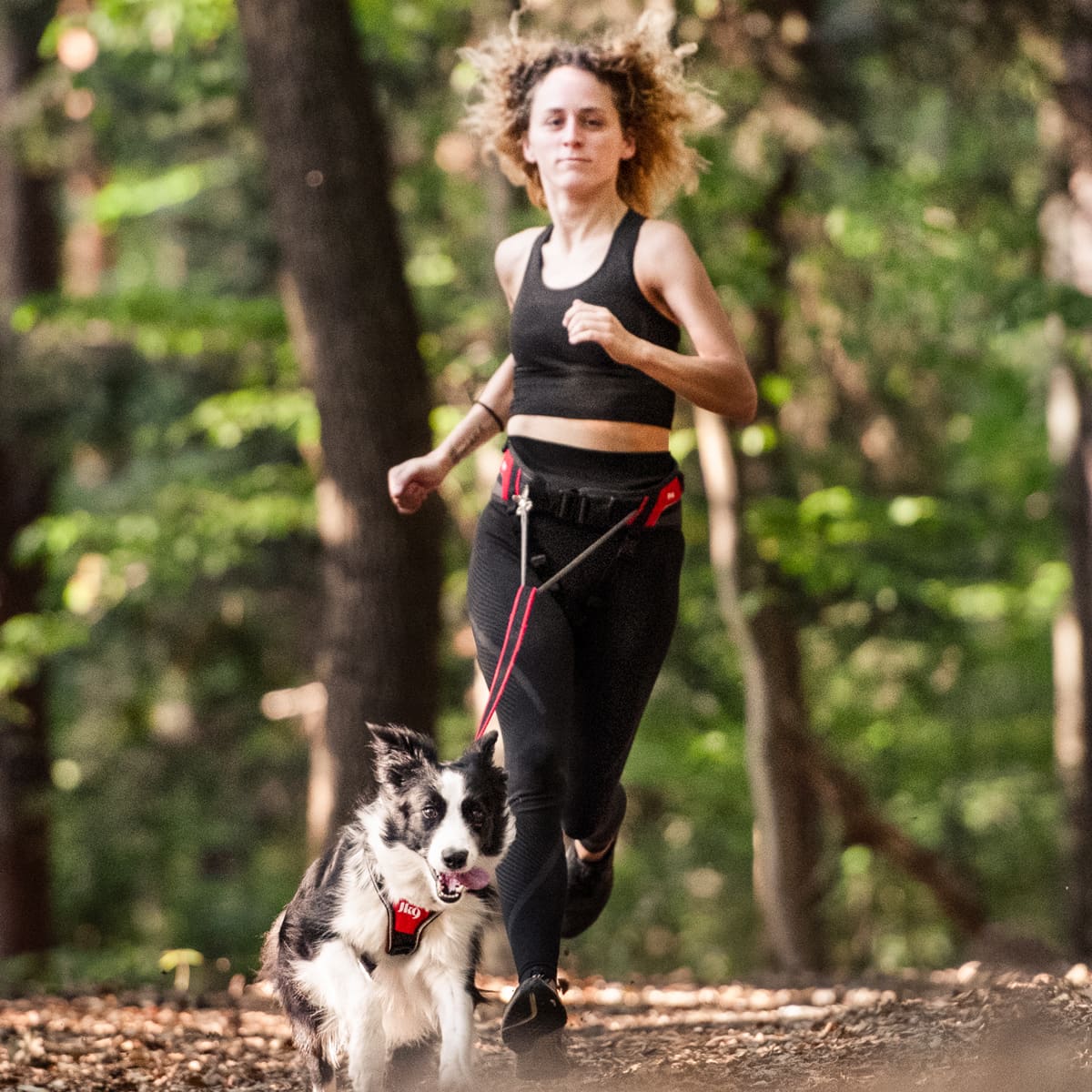 Hundefreund Laisse de Jogging avec Ceinture  Laisse pour Canicross de 120  à 180 cm pour
