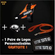 Coffret Harnais Julius VISIBILITÉ personnalisé + Nom du chien OFFERT!