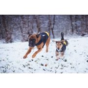 Manteau pour chien IDC® en néoprène